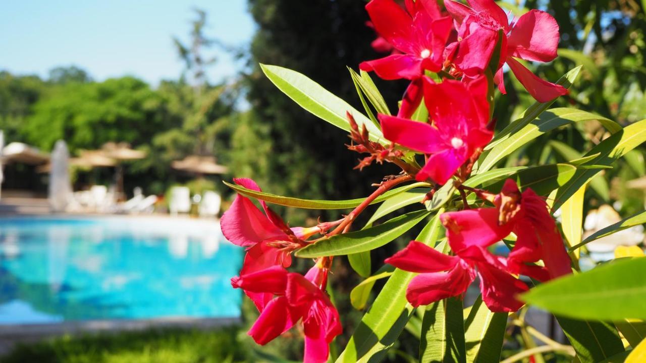Joya Park Hotel Złote Piaski Zewnętrze zdjęcie