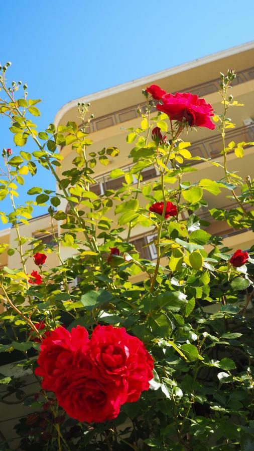 Joya Park Hotel Złote Piaski Zewnętrze zdjęcie